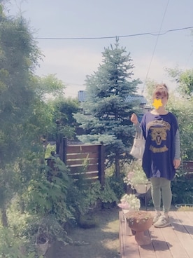 たぁ坊さんのコーディネート