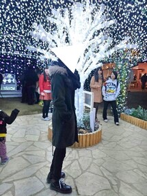 TORNADO MART（トルネードマート）の「TORNADO MART∴バスケット