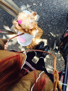 17さんのコーディネート