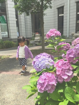 ｙｕａ.さんのコーディネート