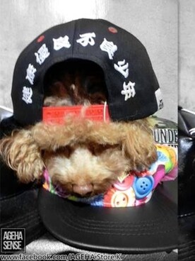 Wayneさんのコーディネート