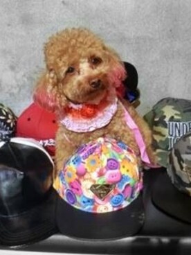 Wayneさんのコーディネート