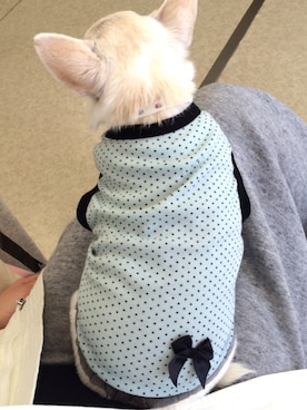 タナカさんのコーディネート