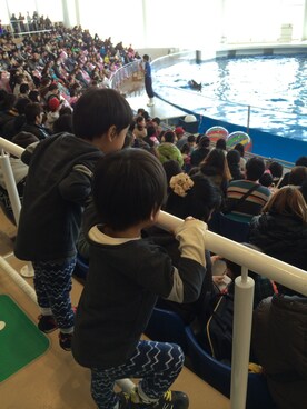 A太郎S太郎さんのコーディネート