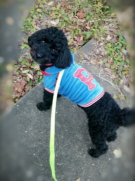 нiяосо ☺さんのコーディネート