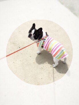 norinoriさんのコーディネート