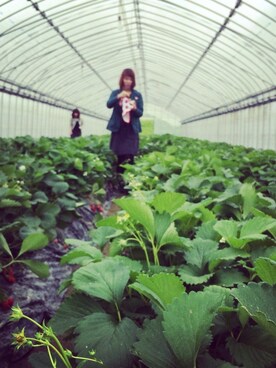 risa0731さんのコーディネート