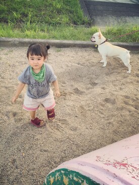 sarakomamekoさんのコーディネート