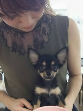 hi-hiさんのコーディネート