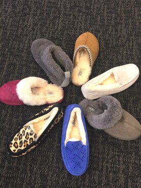 Apesさんのコーディネート