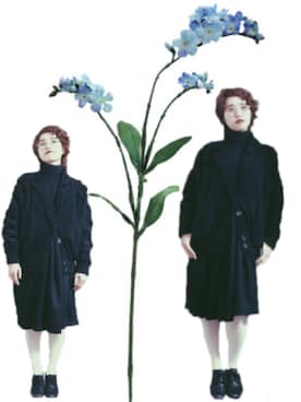 ﾐﾔﾓｺﾝﾍﾟｲﾄｳさんのコーディネート