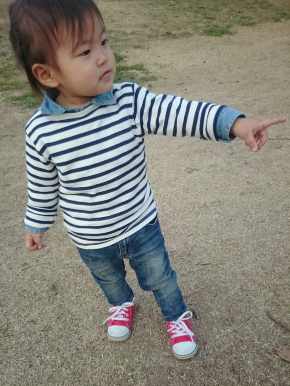 その他のTシャツ/カットソー、ブルー系のデニムパンツ、レッド系のスニーカーを着用したキッズの春コーディネートの1枚目の写真