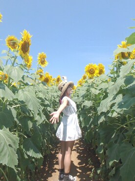 杉原 由規奈さんのコーディネート