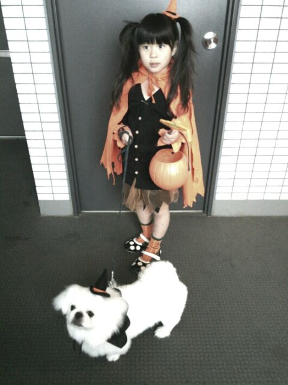 「HALLOWEEN2016、ハット、ハロウィン、仮装、いぬ、ブーフーウーWEARコンテスト、ブーフーウー」｜「BOOFOOWOOのアイテム（バレエシューズ、ブラック系）」を使った、るあん。あいら。るいと。あんず。さん（キッズ・110cm）の秋コーディネートの1枚目の写真