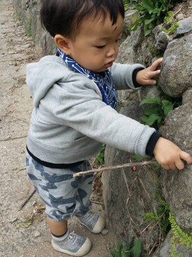 とらさんのコーディネート