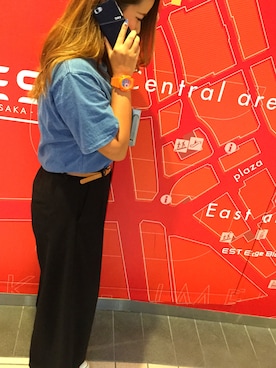 「EDWIN（エドウィン）のアイテム（PC・スマホグッズ/家電）」を使った、M-factoryさん（レディース・165cm）の秋コーディネート