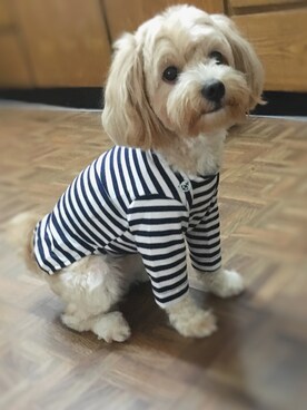 hallie.x_xさんのコーディネート