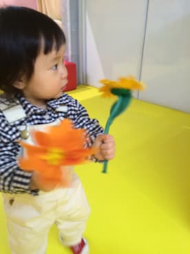 toaさんのコーディネート