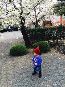 naraさんのコーディネート