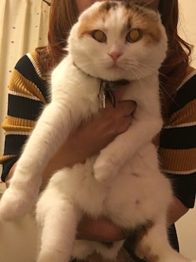 あみさんのコーディネート