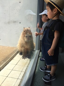 cotaさんのコーディネート