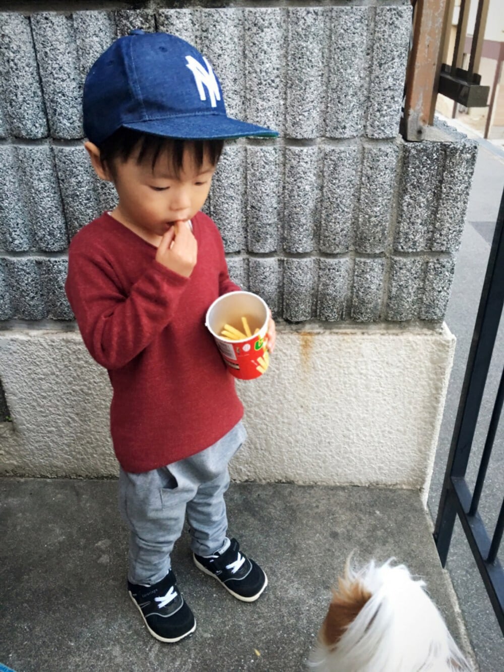 「あずきいろまつり、休日スタイル、シンプルコーデ、公園、男の子コーデ、スウェットパンツ、あずき色、サルエルパンツ、スニーカー」｜「西松屋のアイテム（帽子、ブルー系）」を使った、Chibiෆ̈さん（キッズ・90cm）の秋コーディネートの1枚目の写真