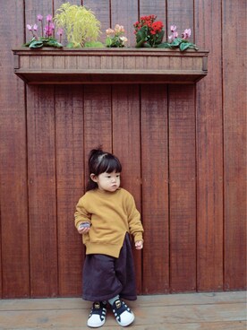 哈比さんのコーディネート