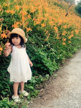 哈比さんのコーディネート