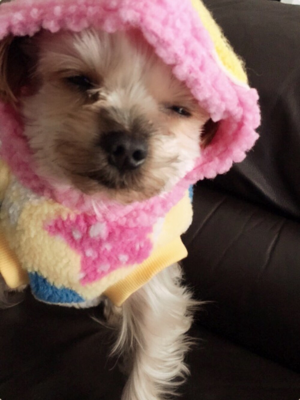 Eri branさんの（もこもこ）を使ったコーディネートの1枚目の写真