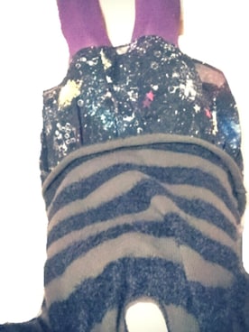 さぼてんさん（レディース・155cm）の夏コーディネート