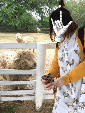 みかりんころりんさんのコーディネート