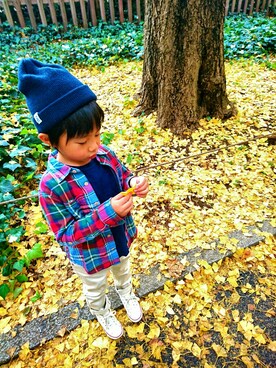 YUIUMIさんのコーディネート