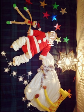 mugiさんのコーディネート