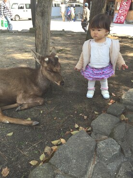 「fafa（フェフェ）のアイテム（パンツ）」を使った、まーみんさん（キッズ・80cm）の春コーディネート