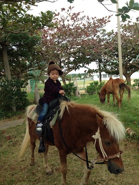 はんチャンさんのコーディネート