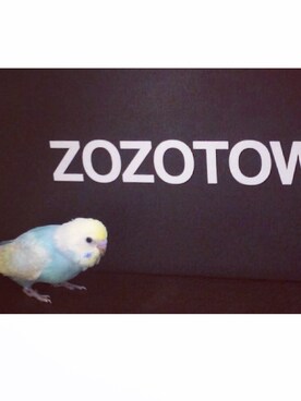 mi503さんのコーディネート