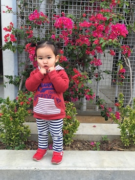 akawakaさんのコーディネート