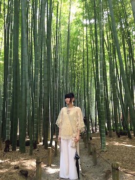 でらおさんのコーディネート