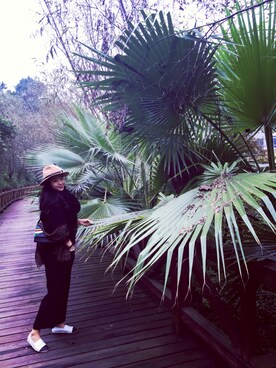 sophiezztさんのコーディネート