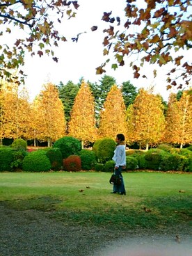 ゆーねこさんのコーディネート