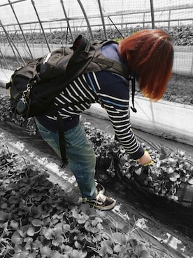 なむさんさんのコーディネート