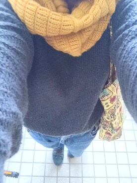 「WILL（ウィル）のアイテム（トップス）」を使った、わがなっぺさん（レディース・154cm）の秋コーディネート