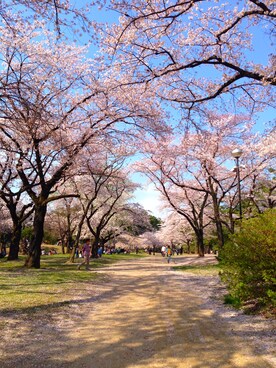 s52425さんのコーディネート