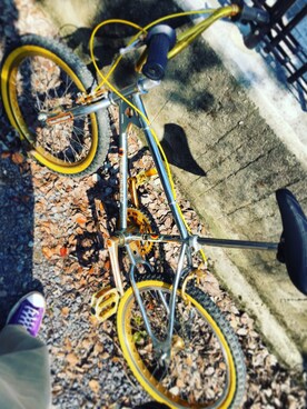 ナガさんのコーディネート