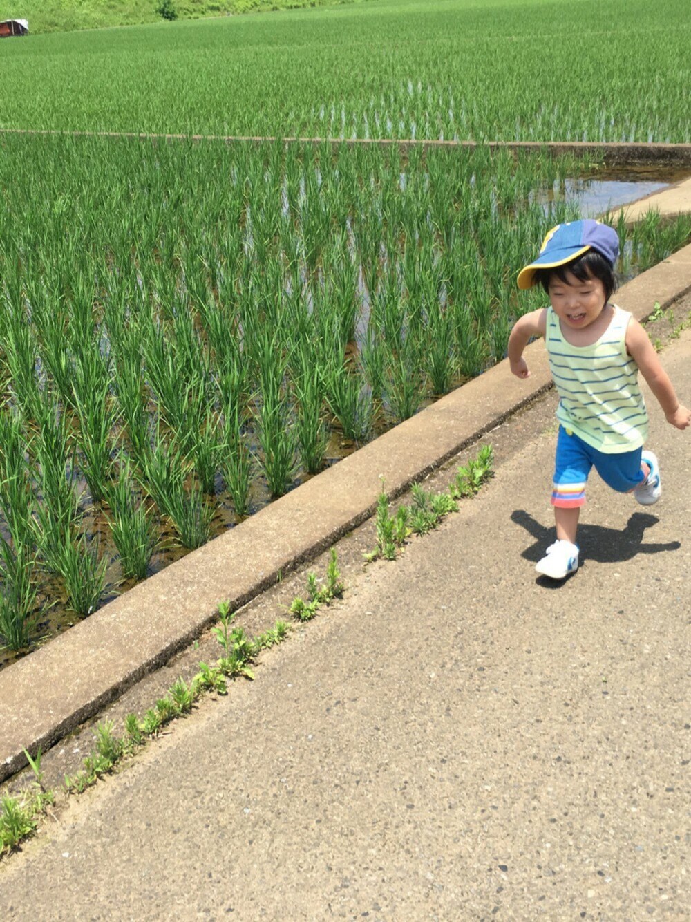 グリーン系のタンクトップ、ブルー系のその他パンツ、ホワイト系のスニーカーを着用したキッズの夏コーディネートの1枚目の写真