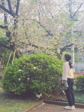 noooさん(レディース・157cm)の春コーディネート