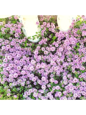 えまさえさん（レディース・154cm）の春コーディネート