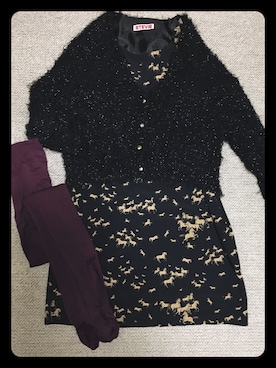 edvisさんのコーディネート