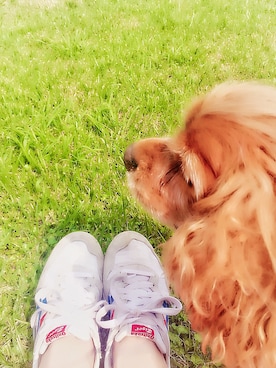 aさんのコーディネート