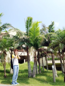 しんたろさんのコーディネート